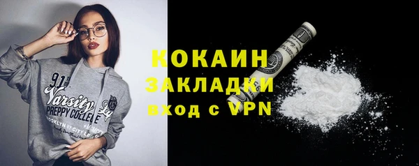 сатива Беломорск