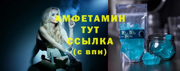 сатива Беломорск