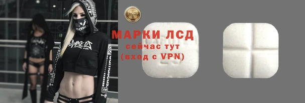 сатива Беломорск
