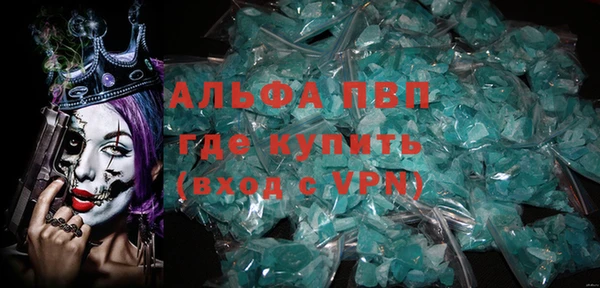 сатива Беломорск