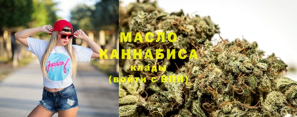 сатива Беломорск