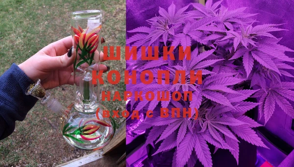 СК Белокуриха