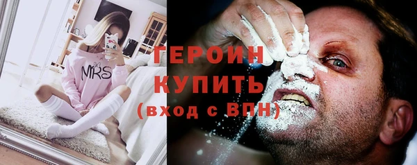 сатива Беломорск